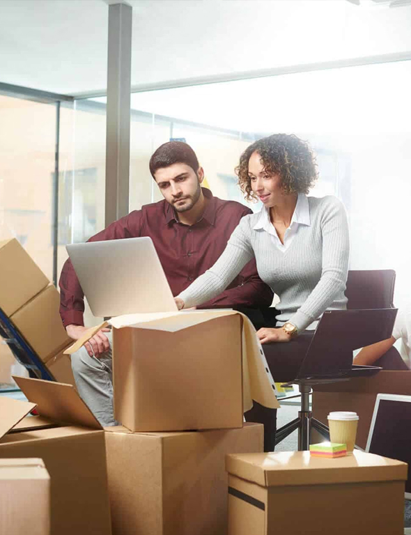 Logistic Coordinations in NJ